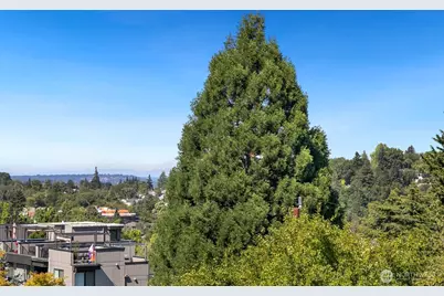 1823 26th Avenue #B, Seattle, WA 98122 - Photo 17