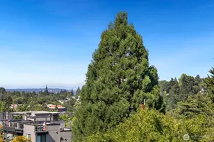 1823 26th Ave, Seattle, WA 98122 - Photo 17