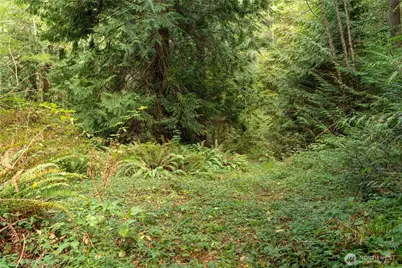 4105 Tartan Way, Clinton, WA 98236 - Photo 3