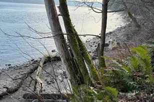 4601 Holly Ln NW, Gig Harbor, WA 98335 - Photo 3