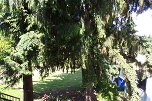 2020 SW 318th Pl, Federal Way, WA 98023 - Photo 7