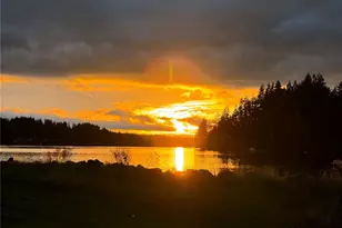 294 E Libby Rd, Shelton, WA 98584 - Photo 3