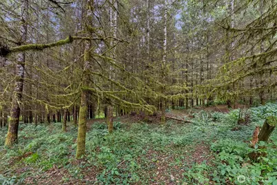 17 McKinney Road, Raymond, WA 98577 - Photo 25