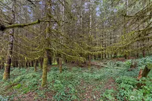 17 Mc Kinney Rd, Raymond, WA 98577 - Photo 25