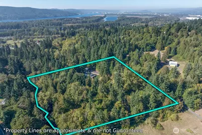 205 Divide Road, Kelso, WA 98626 - Photo 35