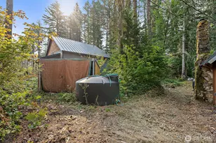 270 Skate Creek Rd N, Ashford, WA 98304 - Photo 27