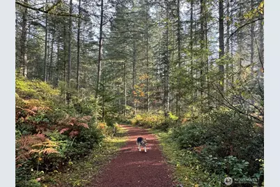 3952 McCormick Village Drive, Bremerton, WA 98312 - Photo 37