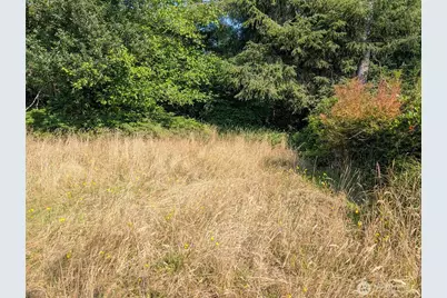 618 Sunset Avenue NE, Ocean Shores, WA 98569 - Photo 3