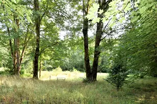 961 NE Snowcap Dr, Tahuya, WA 98588 - Photo 21