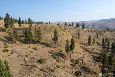 88 Tbd Gold Creek Road, Carlton, WA 98814 - Photo 27