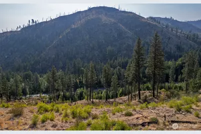 88 Tbd Gold Creek Road, Carlton, WA 98814 - Photo 19