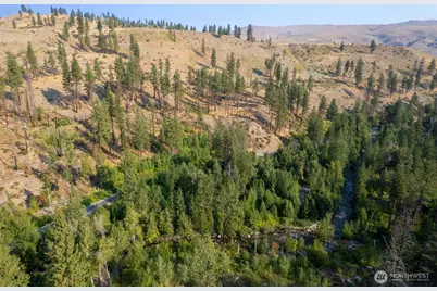 88 Tbd Gold Creek Road, Carlton, WA 98814 - Photo 23