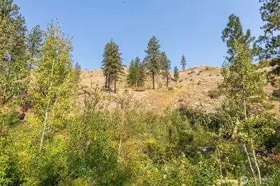 88 Tbd Gold Creek Road, Carlton, WA 98814 - Photo 7