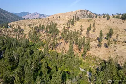 88 Tbd Gold Creek Road, Carlton, WA 98814 - Photo 15
