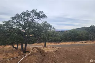 295 Oak Flatt Rd, Goldendale, WA 98620 - Photo 1