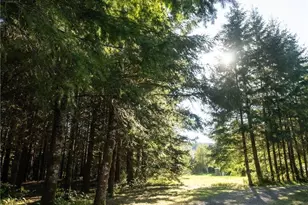 195 Walter Way, Forks, WA 98331 - Photo 31