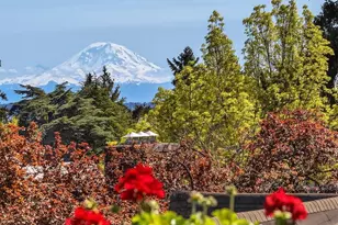 530 36th Ave E, Seattle, WA 98112 - Photo 29