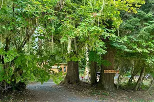 55918 317th Ave E, Ashford, WA 98304 - Photo 1