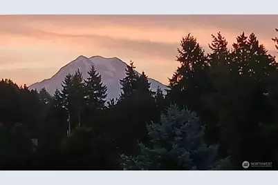 25208 38th Avenue E, Spanaway, WA 98387 - Photo 35