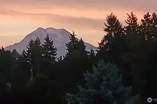 25208 38th Ave E, Spanaway, WA 98387 - Photo 35