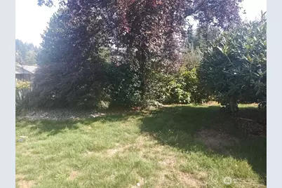 102 E Adams Avenue, Morton, WA 98356 - Photo 3