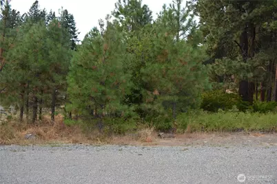 203 E Nevada Avenue, Roslyn, WA 98941 - Photo 5