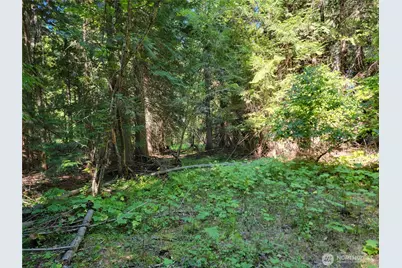 9999 Lone Ranch Rd, Danville, WA 99121 - Photo 13