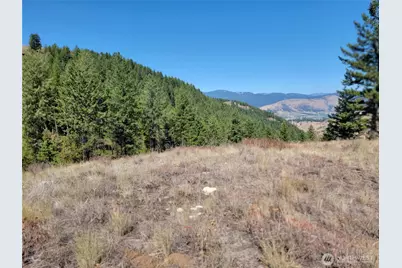 9999 Lone Ranch Rd, Danville, WA 99121 - Photo 3