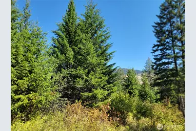 9999 Lone Ranch Rd, Danville, WA 99121 - Photo 5