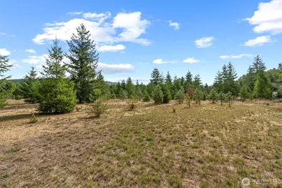 330 Riley Court, Toutle, WA 98649 - Photo 35