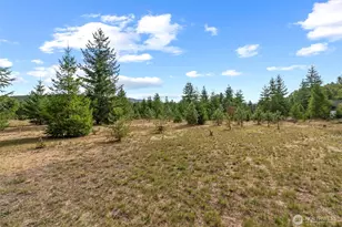 330 Riley Ct, Toutle, WA 98649 - Photo 35