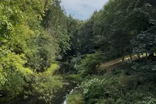 115 Maschke Rd, Vader, WA 98593 - Photo 37