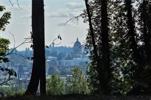 1124 Pear St NE, Olympia, WA 98506 - Photo 3