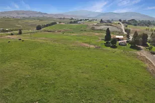 12A Temby Rd, Tonasket, WA 98855 - Photo 7