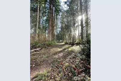 9221 SW Bank Road, Vashon, WA 98070 - Photo 7