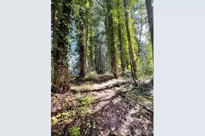 9221 SW Bank Road, Vashon, WA 98070 - Photo 5