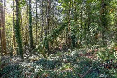 0 E Sprague Avenue, Union, WA 98592 - Photo 7
