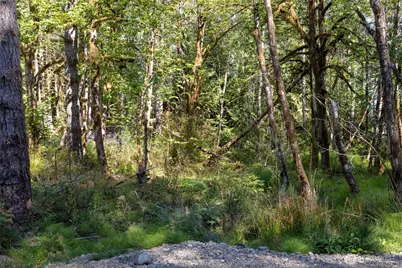 0 E Sprague Avenue, Union, WA 98592 - Photo 9