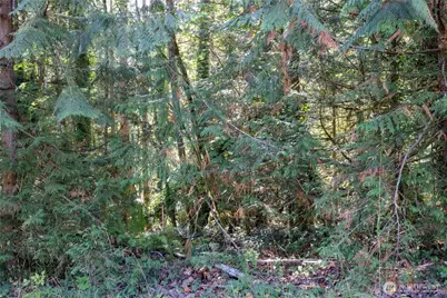 0 E Sprague Avenue, Union, WA 98592 - Photo 7