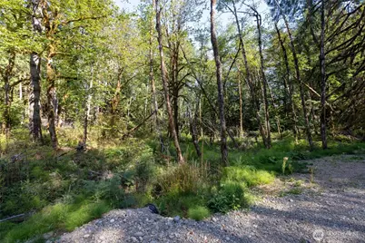 0 E Sprague Avenue, Union, WA 98592 - Photo 11