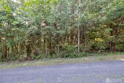 0 E Mason Avenue, Union, WA 98592 - Photo 11