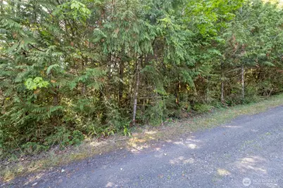 0 E Mason Avenue, Union, WA 98592 - Photo 5