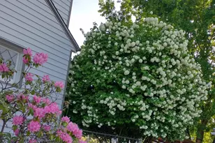 106 N Franklin Ave, Wenatchee, WA 98801 - Photo 19