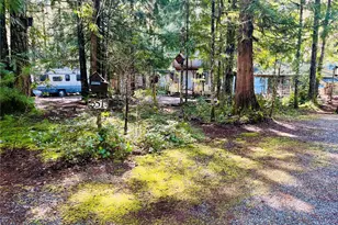 351 N Mount Jupiter Dr, Hoodsport, WA 98548 - Photo 5