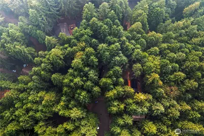 60 N Mount Rose Place, Hoodsport, WA 98548 - Photo 33