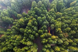 60 N Mount Rose Pl, Hoodsport, WA 98548 - Photo 33