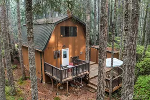 60 N Mount Rose Pl, Hoodsport, WA 98548 - Photo 29