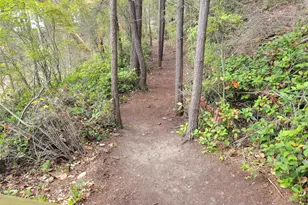 296 Shag Rock Ln, Orcas Island, WA 98245 - Photo 27