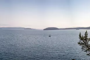 296 Shag Rock Ln, Orcas Island, WA 98245 - Photo 5