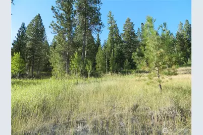 10 Sorona Way, Tonasket, WA 98855 - Photo 7